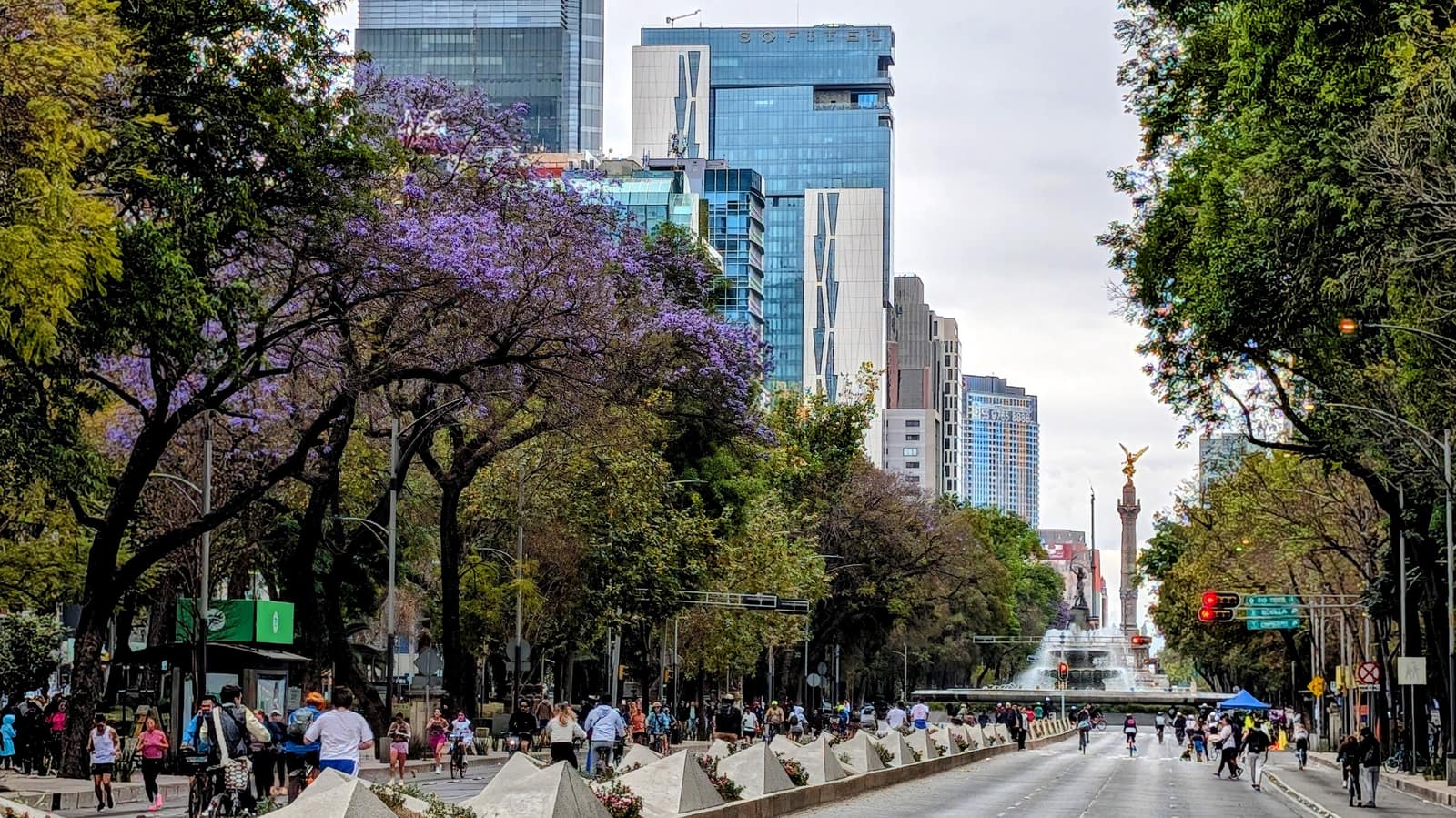Paseo de la Reforma with jacaranda trees and the Angel of Independence in Mexico City