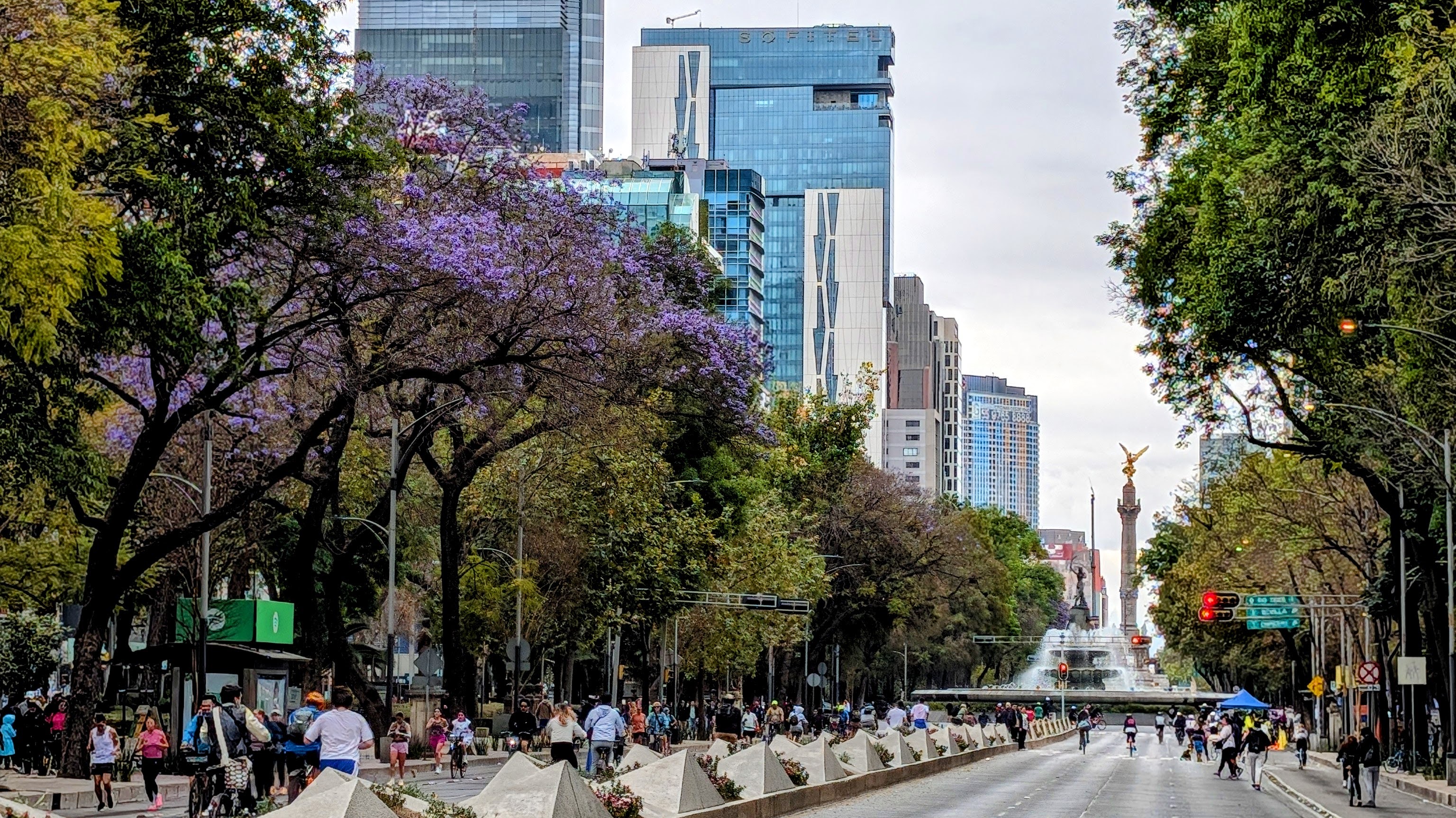 Paseo de la Reforma with jacaranda trees and the Angel of Independence in Mexico City